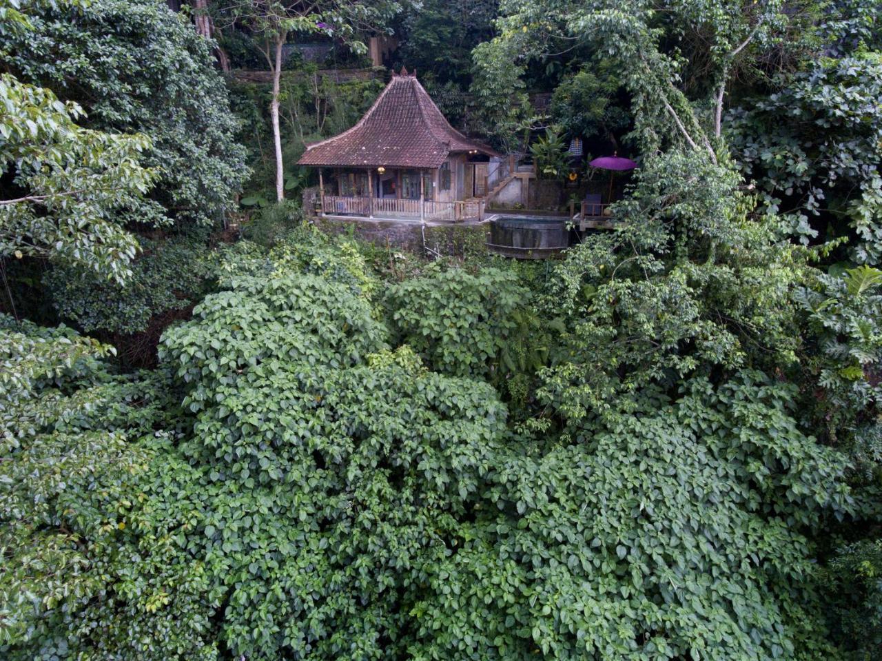 Villa Awang Awang Ubud Extérieur photo